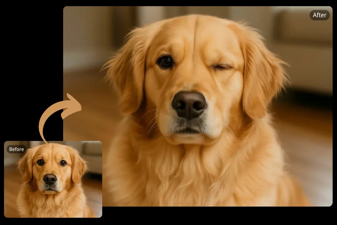 AI Wink Filter That Makes Pet Photos Irresistible