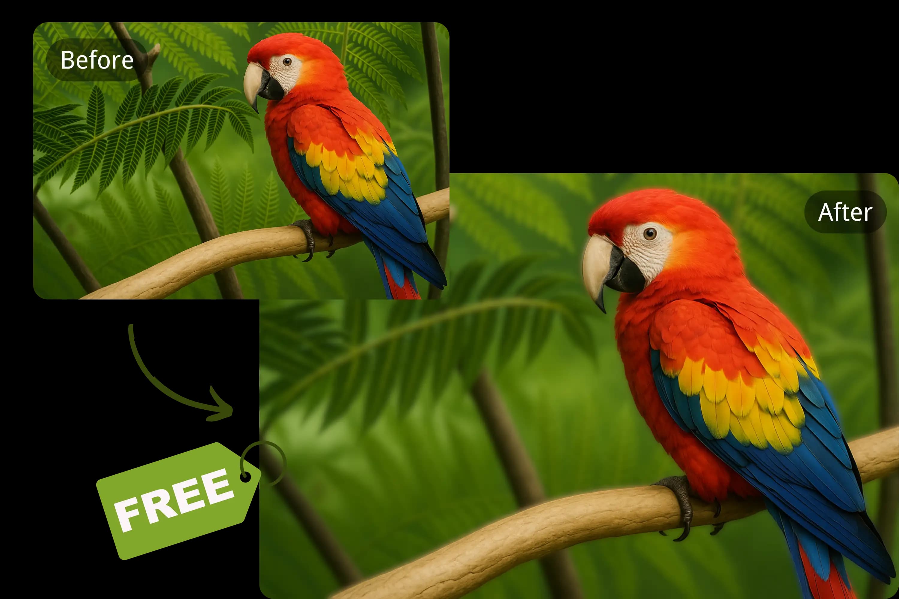 Free Online Blur Image Tool