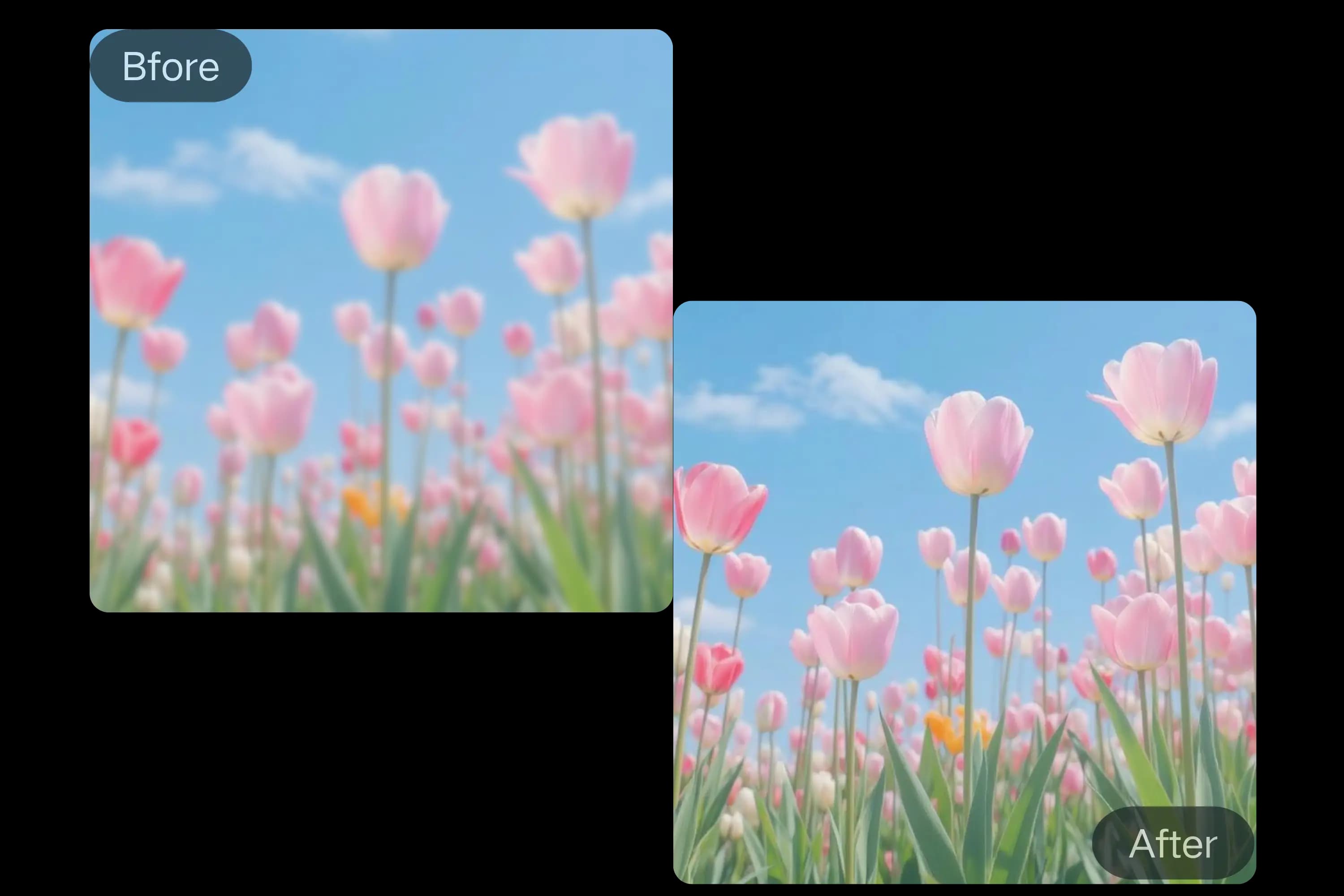 AI Blur Remover Supports Popular Image Formats