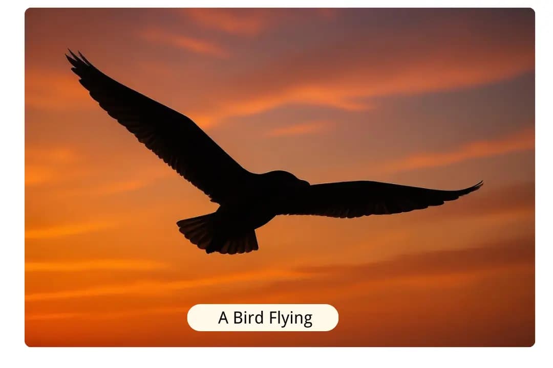 Create Silhouettes from Text Descriptions with AI Silhouette Maker